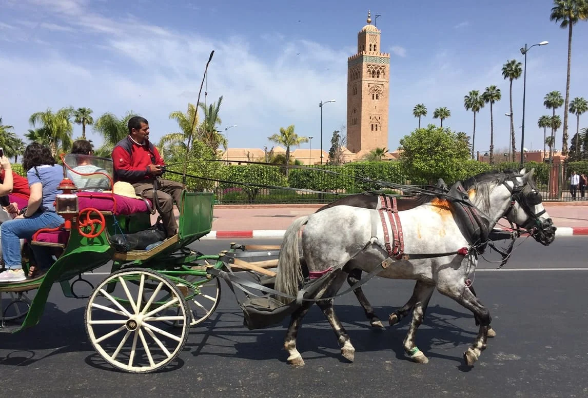 Aventura en Marruecos
